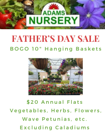 Image of Sale items for Father's Day:
BOGO 10"  Hanging Baskets and $20 Annual Flats exluding caladiums